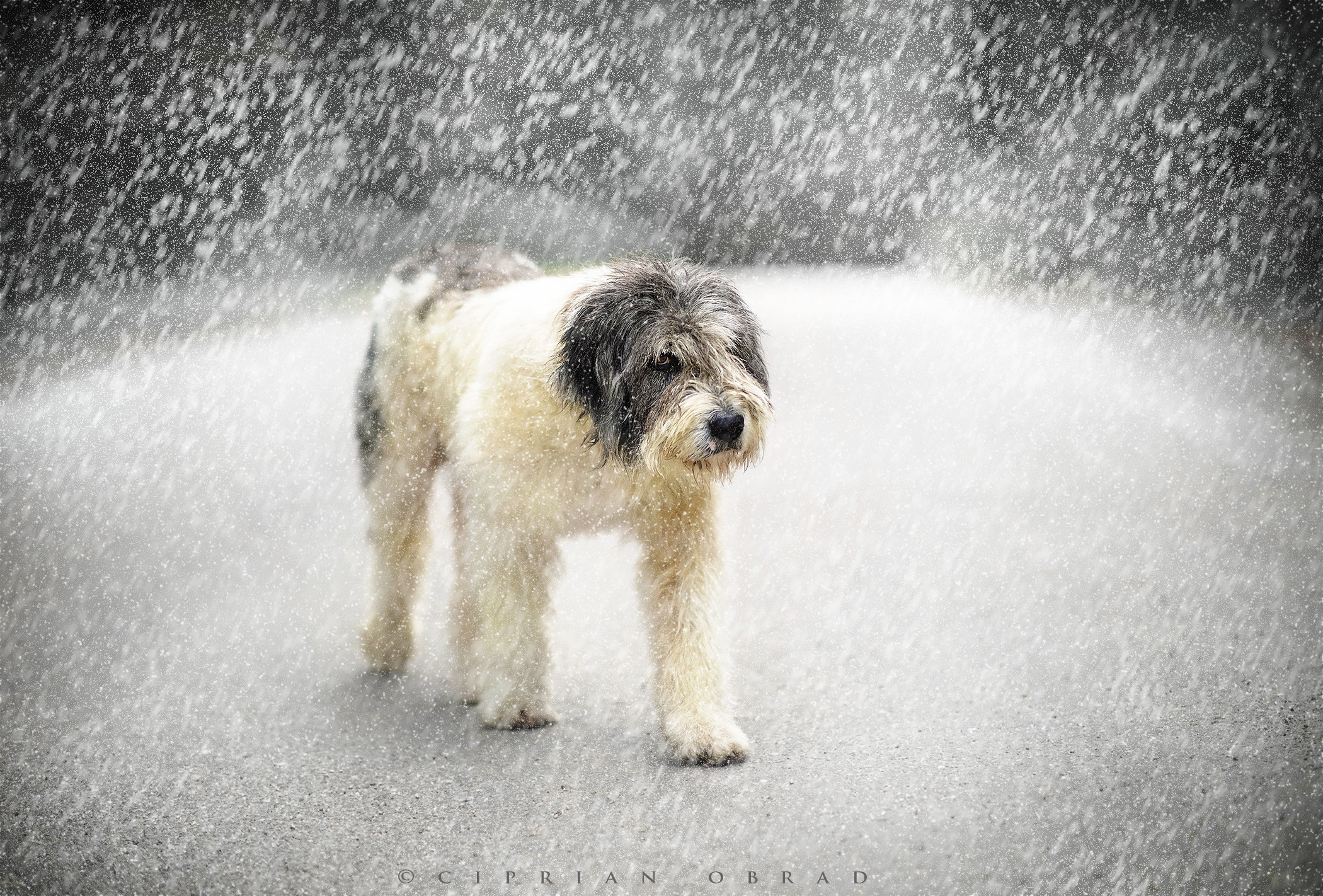 5Z8A8689winterwebfin