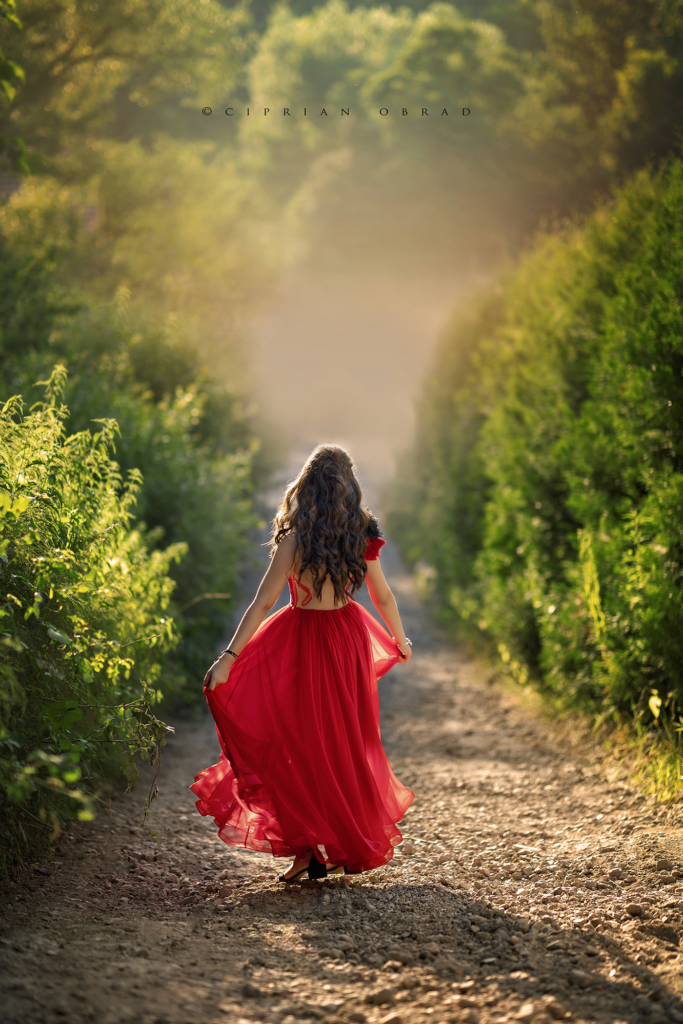 andra_fairytale_canvas_web