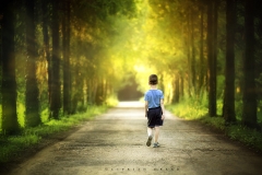way of a boy 2020